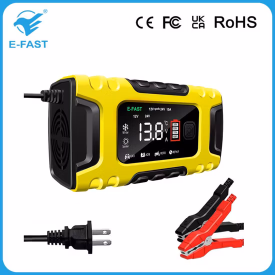 12V 24V AGM Efb 鉛蓄電池用スマート充電器、ABS ケース付き